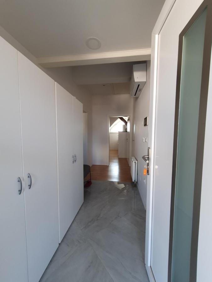 Charming Apartment Mila In Privat House With Free Parking ليوبليانا المظهر الخارجي الصورة